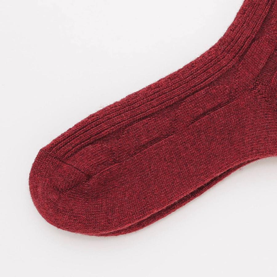 靴下 メンズ 25-28cm OBSCURE SOCKS M TORREYA  オブスキュアソックス トレヤ ソックス ウール 日本製 おしゃれ | HIGHTIDE | 06