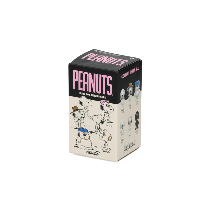 Super7 Peanuts Blind Box Flat Wave10 Snoopy's Siblings ブラインドボックス フラット | PEANUTS | 09