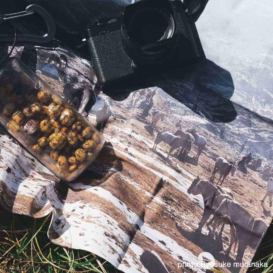 バンダナ PAPERSKY Mountain Bandana ペーパースカイ マウンテンバンダナ ハンカチ スカーフ 綿100% メンズ レディース 日本製 お弁当包み 大判ハンカチ ギフト | HIGHTIDE | 07