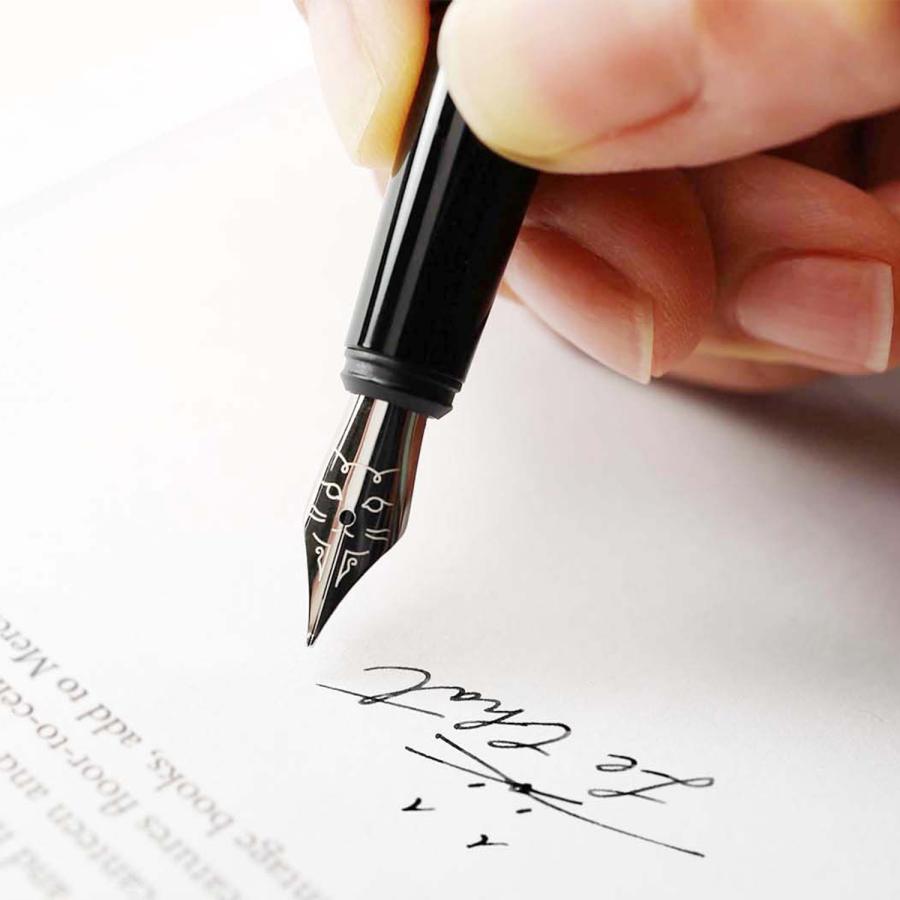 万年筆 高級 TOOLS to LIVEBY ツールズ トゥ リブバイ ファウンテンペン 猫 ネコ 可愛い 動物 文房具 入学祝い | HIGHTIDE