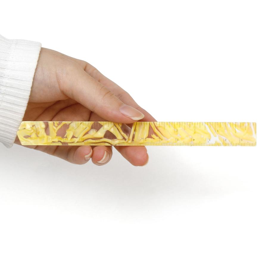 定規 TOOLS to LIVEBY ツールズ トゥ リブバイ ヘキセテートルーラー 13cm ものさし 物差し おしゃれ ハイタイド | HIGHTIDE | 05