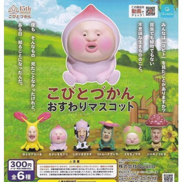 A-2 コンプ こびとづかん おすわりマスコット 全6種セット ガチャ : m 