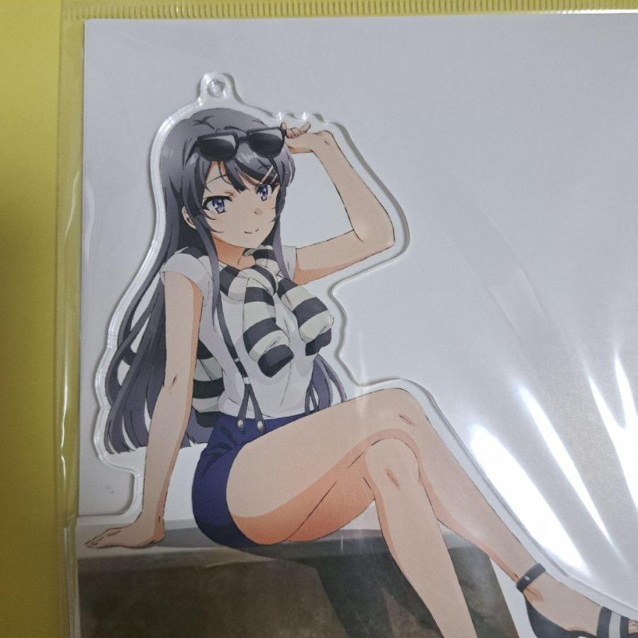 桜島麻衣 牧之原翔子 アクリルスタンドキーホルダーBIGドンキホーテ