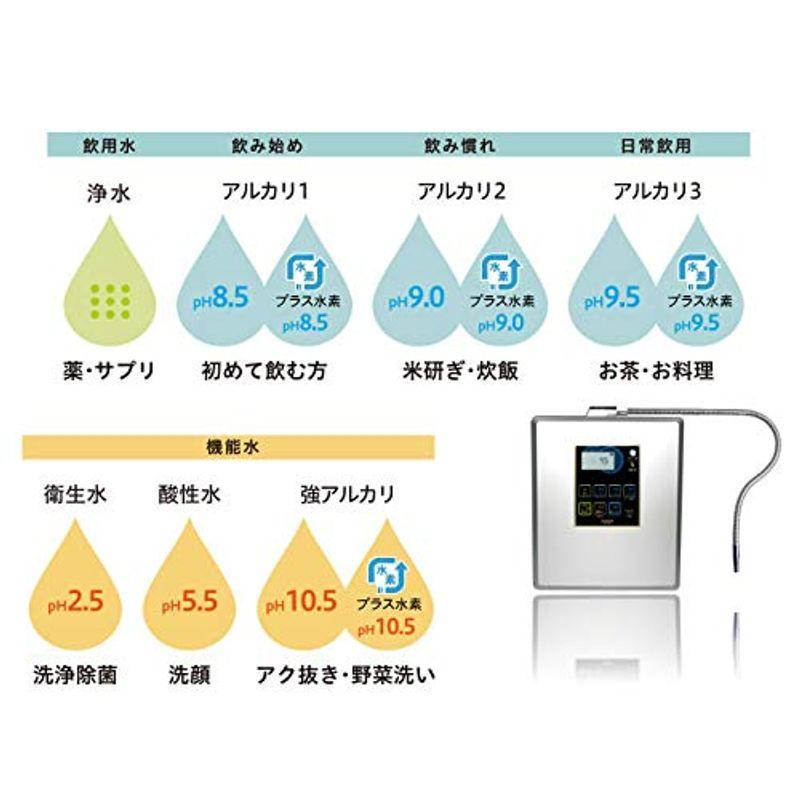 日本製　強酸性水　次亜塩素酸水　還元水素水　ピュアナノ　ZX-05　生成器　家庭用