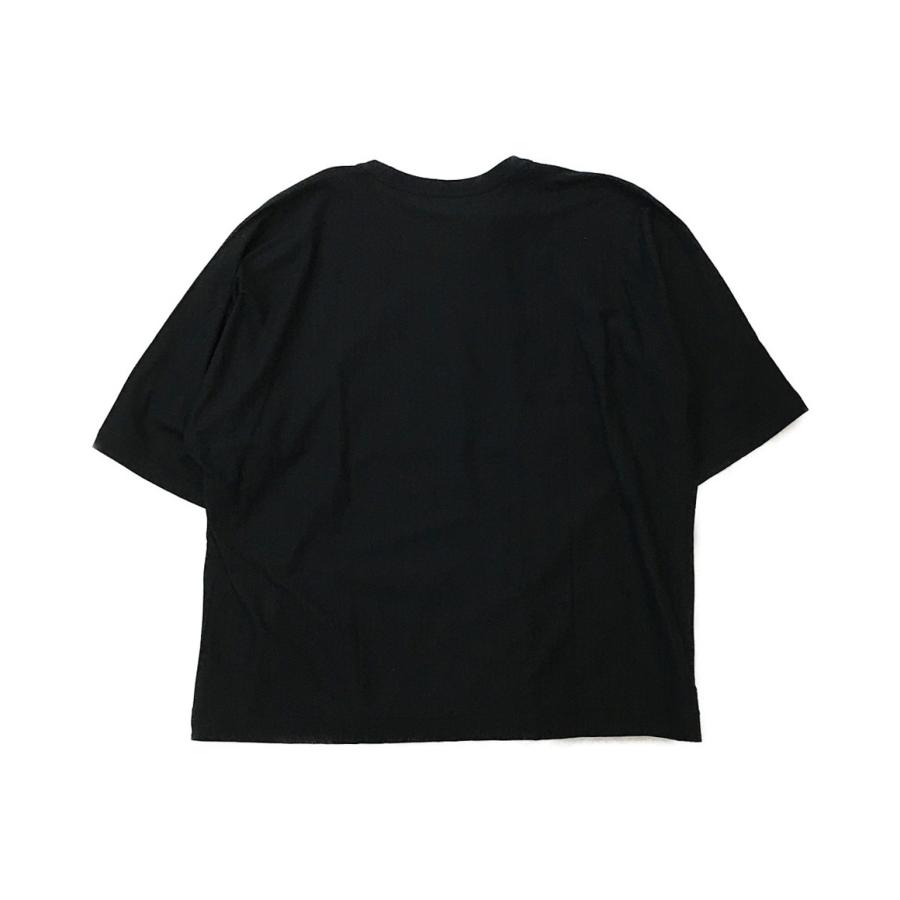 HOMME PLISSE ISSEY MIYAKE オムプリッセ　Tシャツ2 HOMME PLISSE ISSEY MIYAKE(イッセイミヤケオムプリッセ