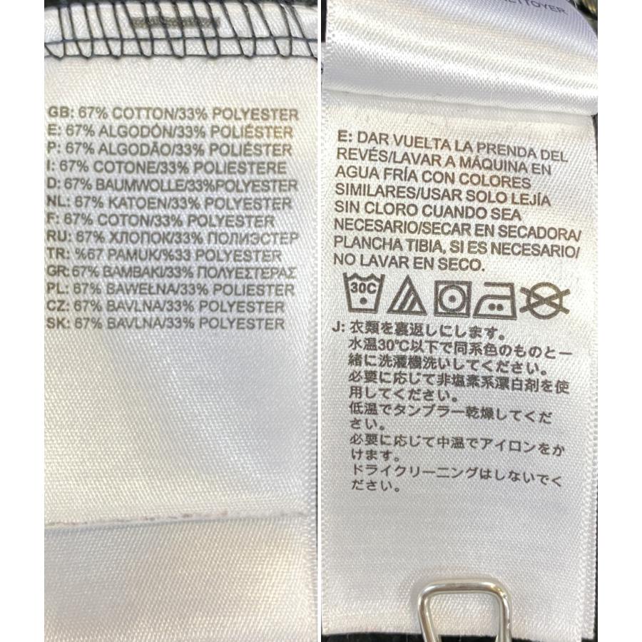 Supreme（シュプリーム） ザ・ノースフェイス パーカー METALLIC LOGO