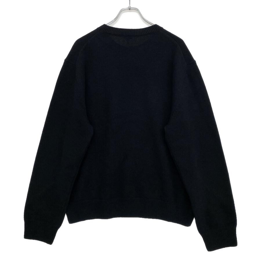 LOEWE（ロエベ） スモールアナグラムクルーネックニット 25SS メンズ