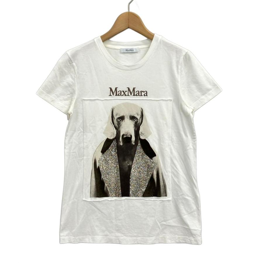 美品 マックスマーラ 半袖Tシャツ MMDOG レディース SIZE XS MAX