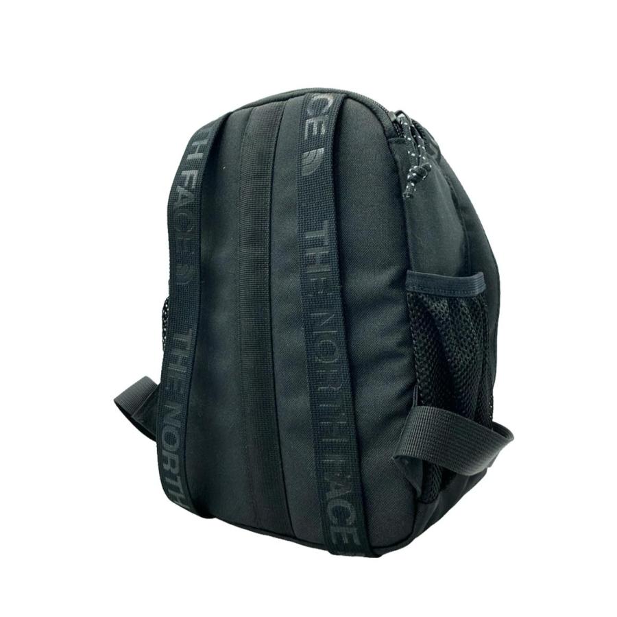 美品 ザ・ノースフェイス ナイロンミニリュック レディース THE NORTH 