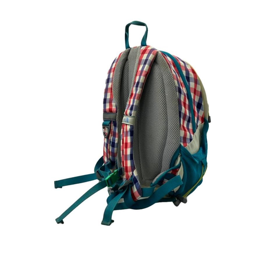 THE NORTH FACE small day pack チェック柄　リュック THE NORTH FACE small day pack チェック柄リュック
