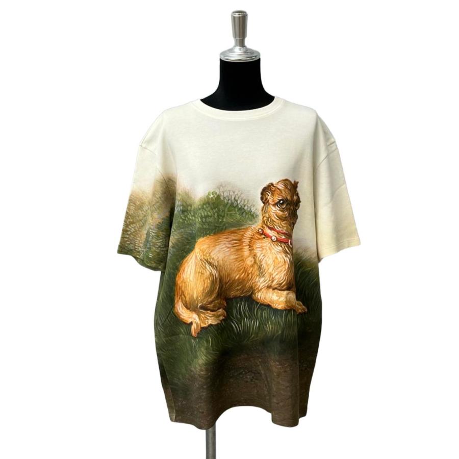 美品 ロエベ 半袖Tシャツ オーバーサイズ レディース SIZE S LOEWE