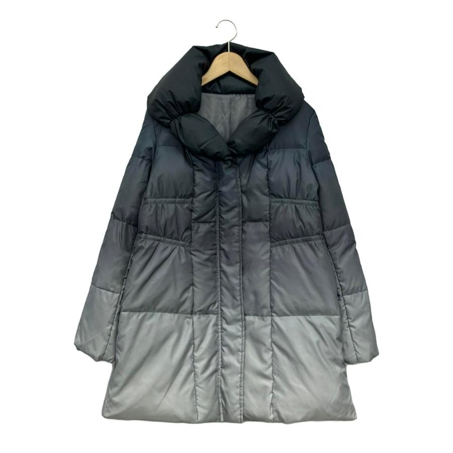 ダナパリ ダウンコート グラデーション レディース SIZE 44 (L) DAMA 