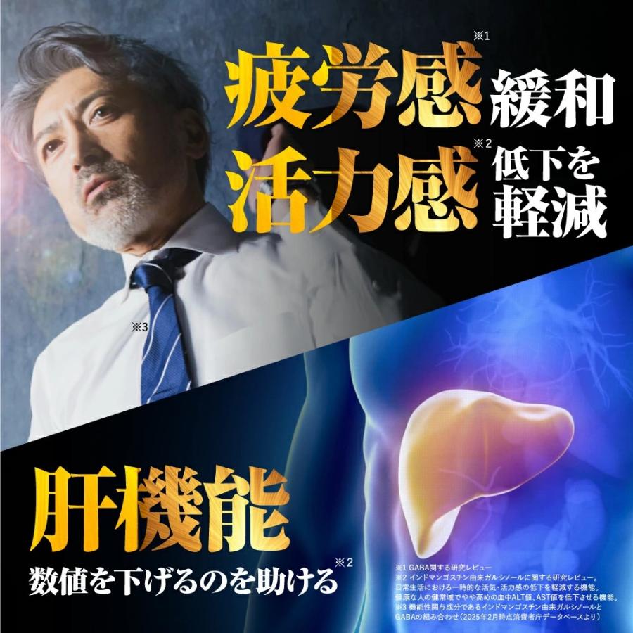 Wellne 2袋セット 長嶋一茂 愛飲 睡眠改善 リバイタルゴールド 亜鉛 