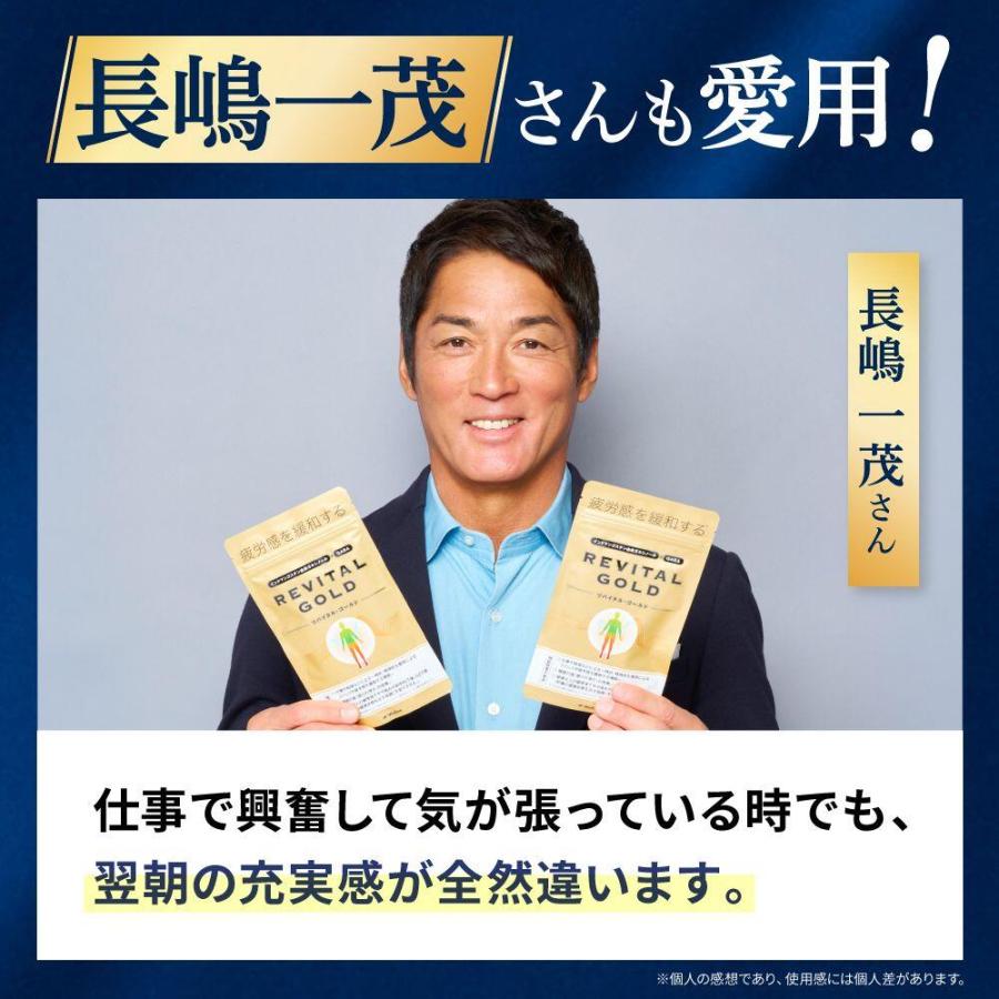 Wellne 2袋セット 長嶋一茂 愛飲 睡眠改善 リバイタルゴールド 亜鉛 