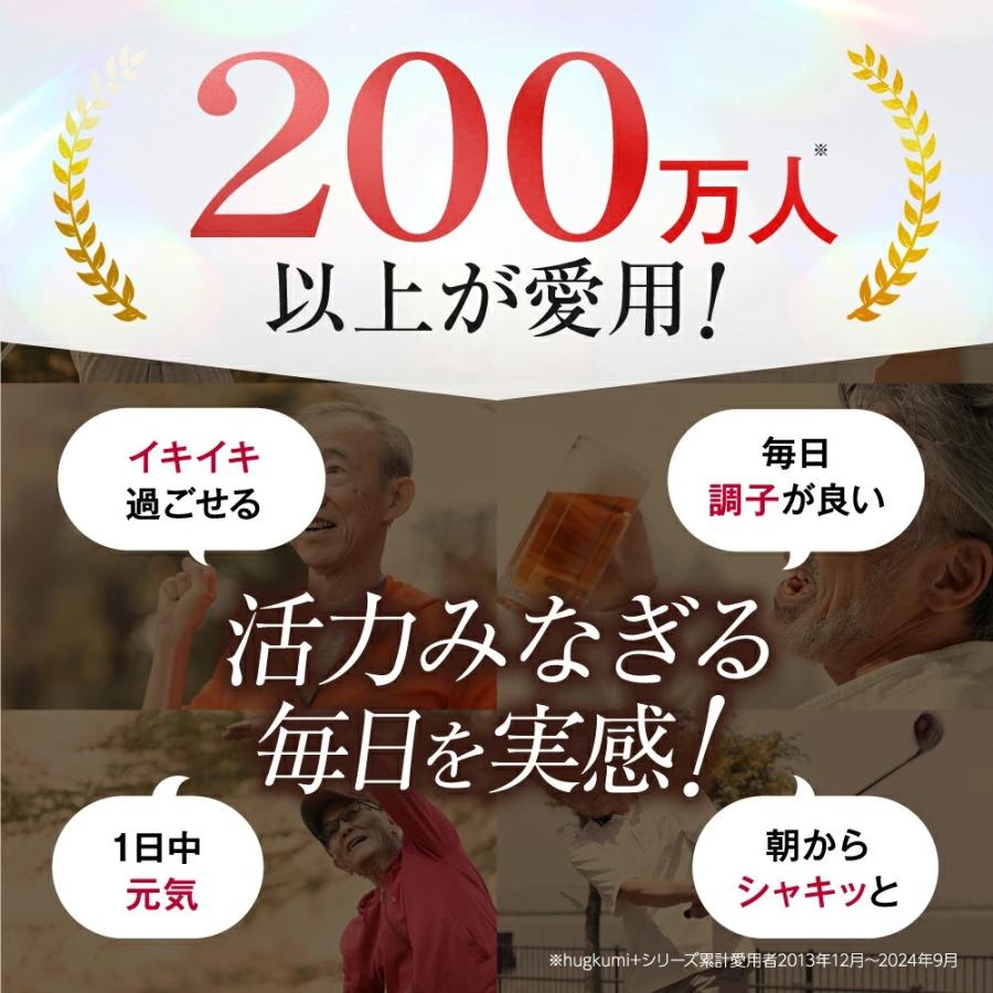 Wellne 3袋セット 長嶋一茂 愛飲 睡眠改善 リバイタルゴールド 亜鉛 