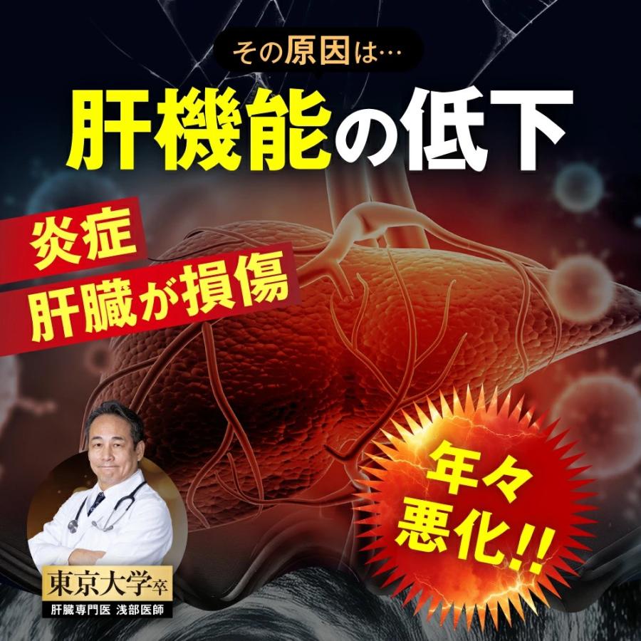 Wellne 3袋セット 長嶋一茂 愛飲 睡眠改善 リバイタルゴールド 亜鉛 