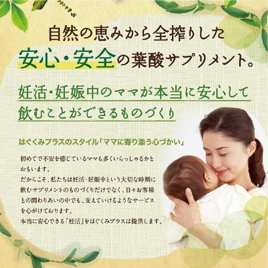 はぐくみプラス 葉酸 サプリ このめ葉酸 90粒30日分 ビタミン 鉄分