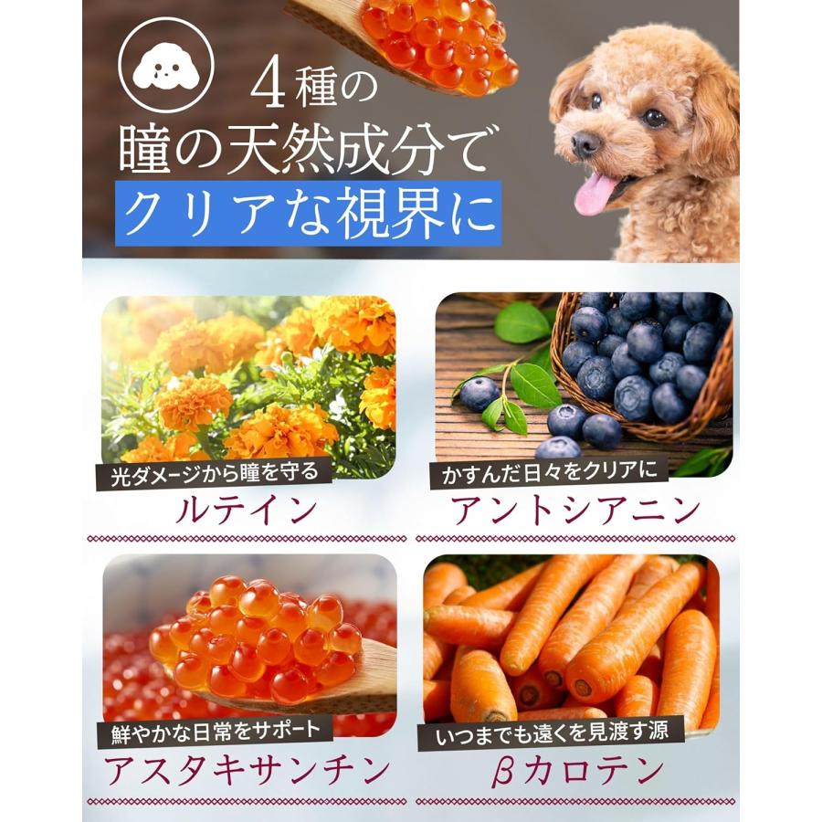公式】amure-アミュレ-犬用 サプリメント 1袋(シニア犬 老犬 公式】amure-アミュレ-犬用 サプリメント 1袋(シニア犬 老犬