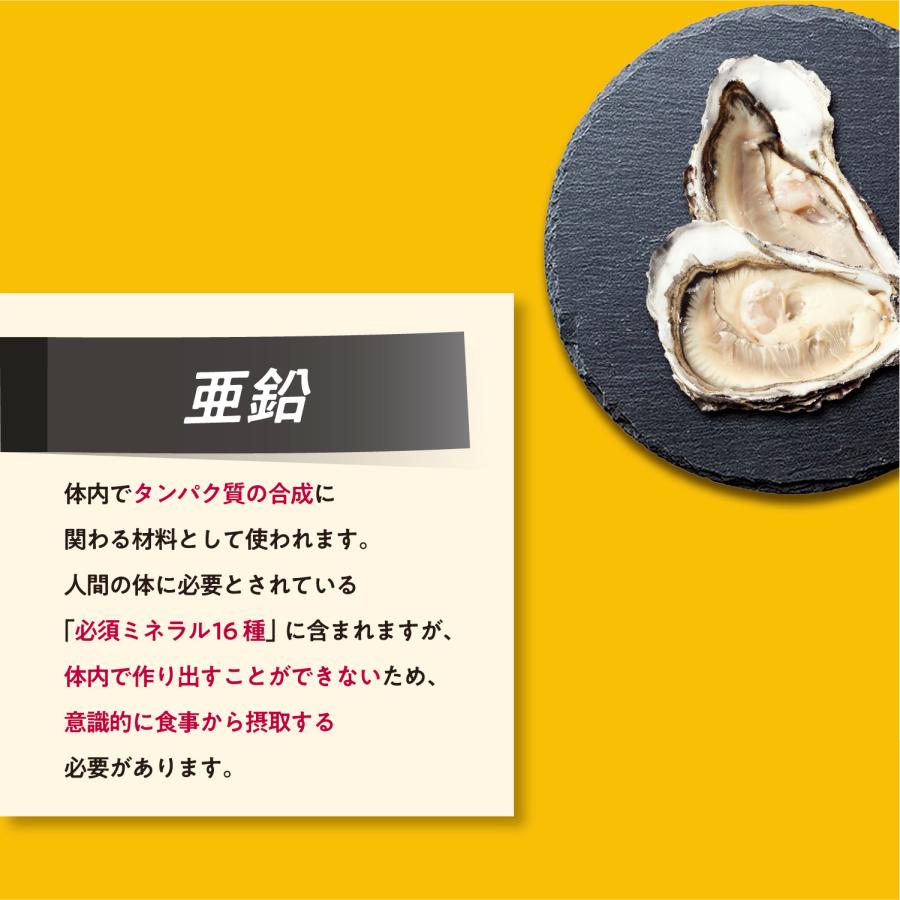 食品 LEYON スタディフード60g×2・30g（計3袋）