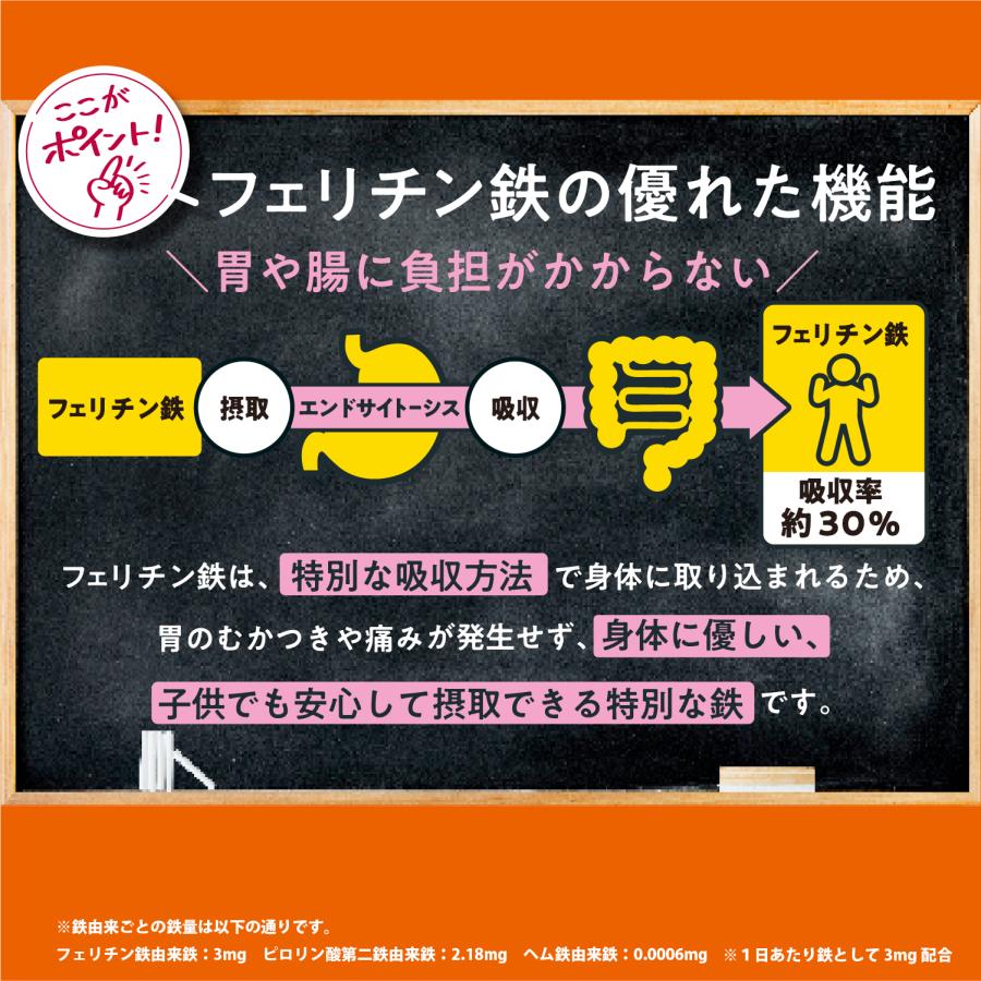 公式】LEYON スタディフード 子供 鉄分 添加物不使用 離乳食 ベビー