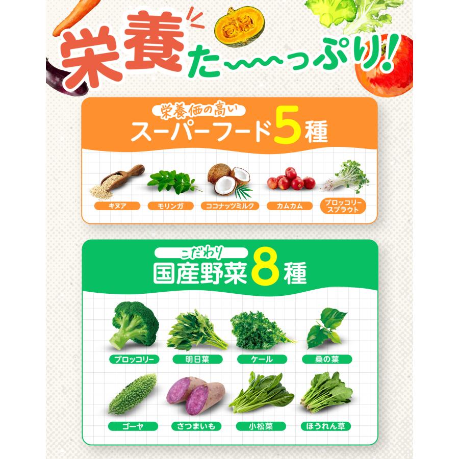 公式】LEYON レヨン スーパーフード 子供 野菜 パウダー 離乳食 添加物