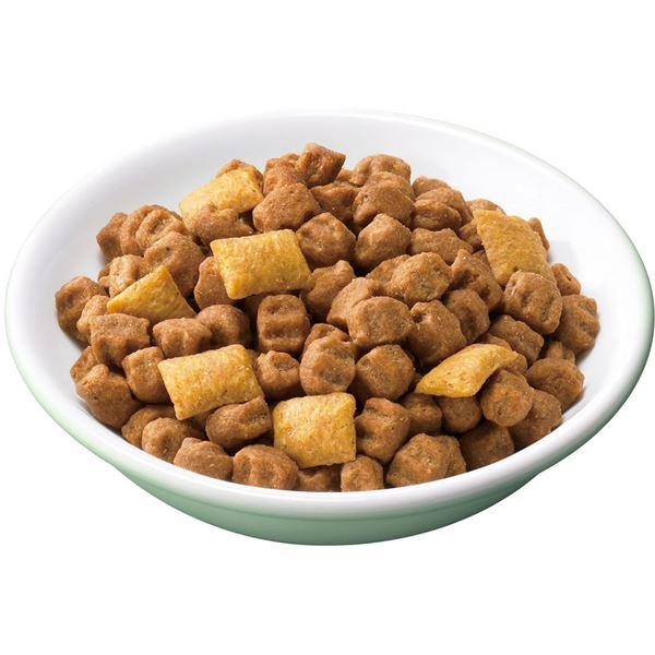 交換無料 まとめ ペディグリー それいけ 小型犬 ビーフ入り 1kg 12セット ペット用品 犬用フード 日本製 Southpointbd Com