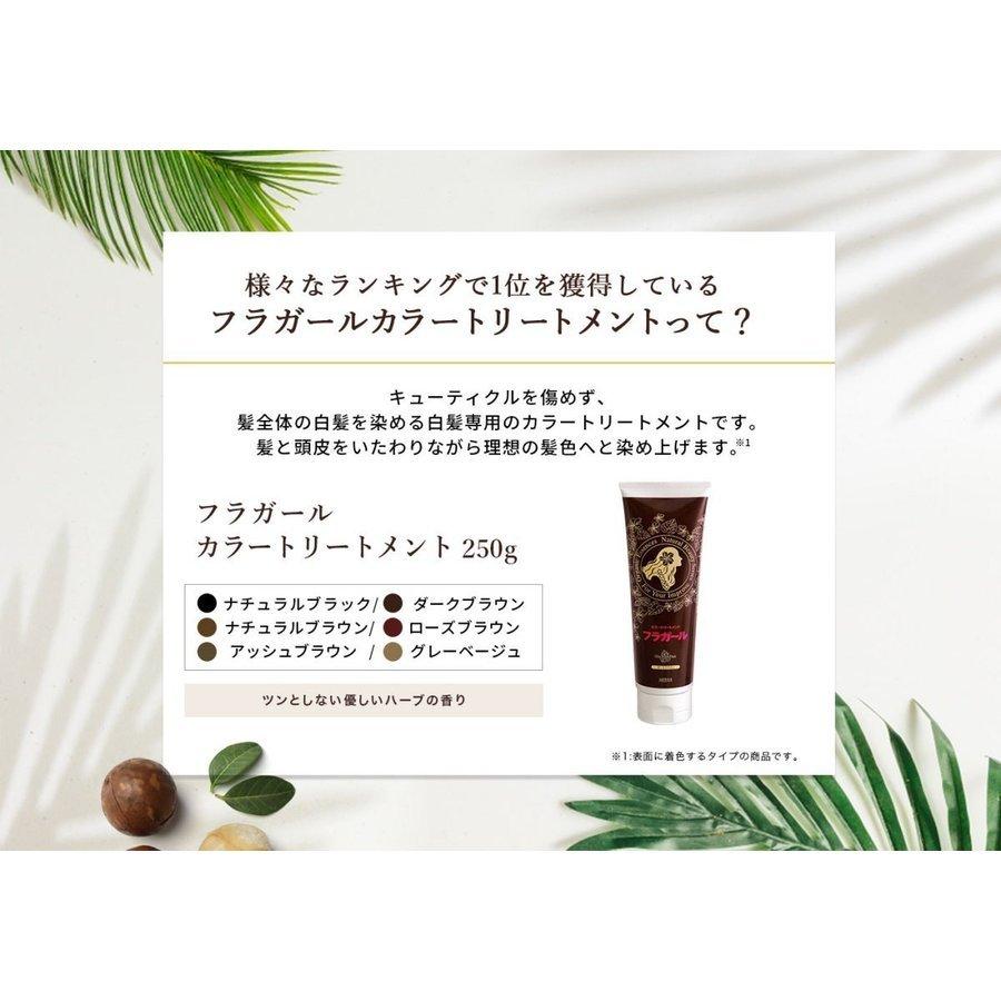 送料込 フラガール プラチナカラートリートメント ローズブラウン 新品