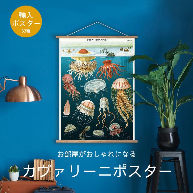CAVALLINI & CO. ポスター 海外ビンテージデザイン おしゃれ レトロ