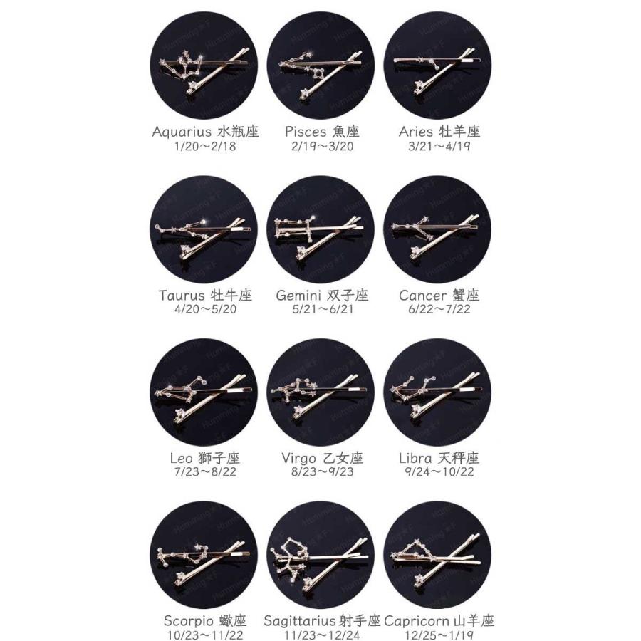 送料無料 12星座 モチーフ ヘアピン 2Pセット 星座 星 誕生日 ヘア