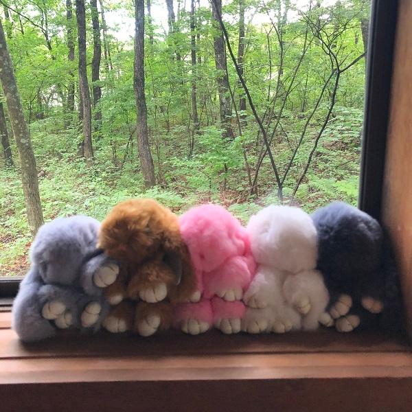 送料無料 キーホルダー うさぎ チャーム ピンク ストラップ 夢可愛い