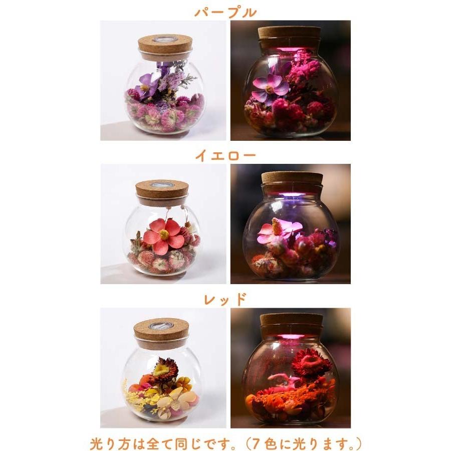 ドライフラワー ボトル ボトルフラワー Led内蔵 インテリア ガラスポット プレゼント フラワーアレンジ ギフト 980713 980713 ファンシーアクセのhumming F 通販 Yahoo ショッピング