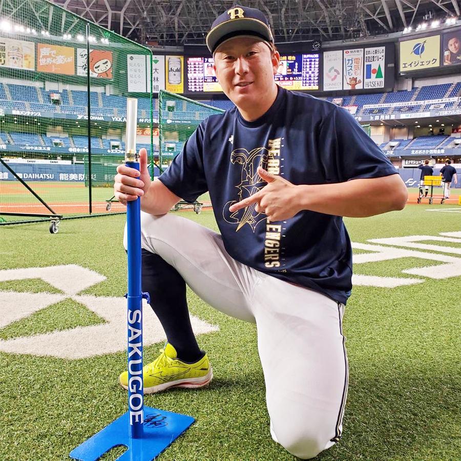 スタンド 置きティー 野球 練習 バッティング ホームラン スタンド 置きティー 野球 練習 バッティング ホームラン