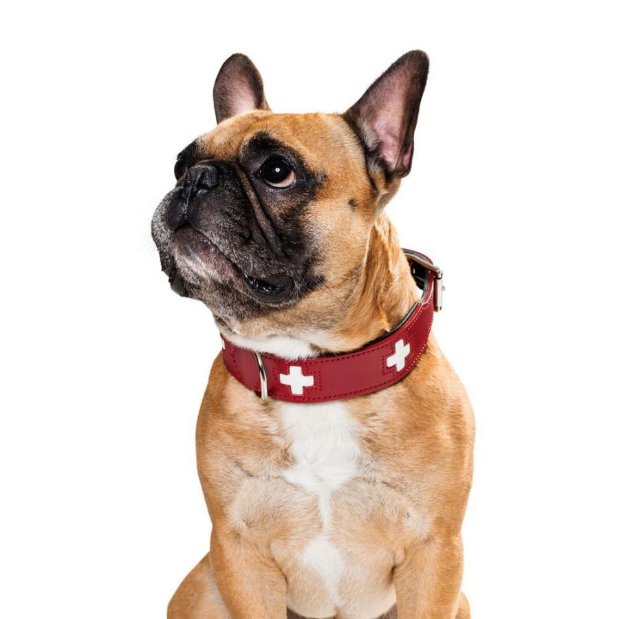 HUNTER（ハンター） 犬用 首輪 オーガニックレザー スイス 37 小型犬