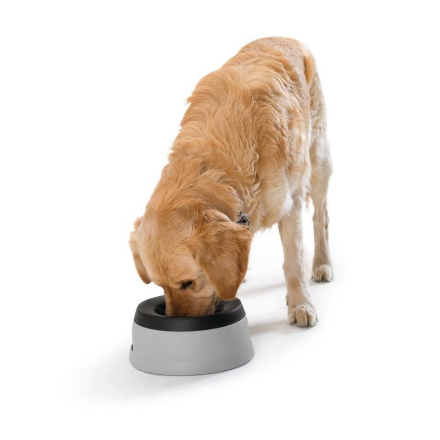 HUNTER（ハンター） 犬用 食器 トラベルボウル ロードリフレッシャー
