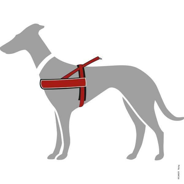 HUNTER（ハンター） 犬用 ハーネス レーシング L 中型犬 大型犬 反射材