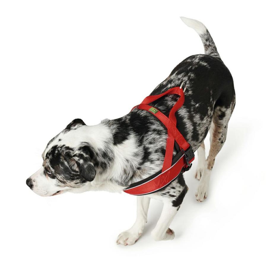 HUNTER 犬用品　L〜XL HUNTER ハンター 犬用 ハーネス レーシング L-XL 大型犬 反射材使用