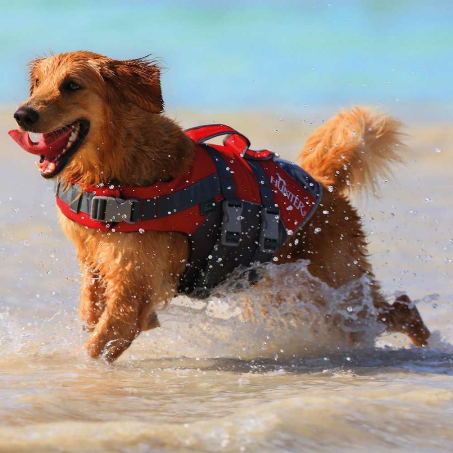 HUNTER（ハンター） 犬用 ライフジャケット モス L(62446) 中型犬 大型