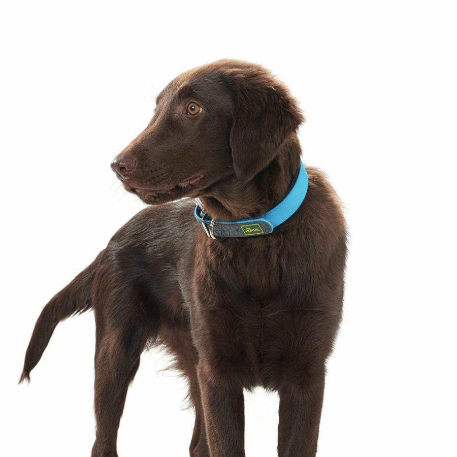 HUNTER（ハンター） 犬用 首輪 コンビニエンス コンフォート 35 小型犬