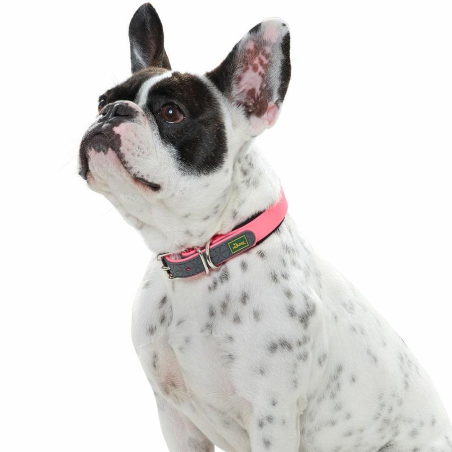 Hunter コンビニエンスリード&コンフォート首輪 楽天市場】ハンター 犬用 首輪 コンビニエンス コンフォート 60