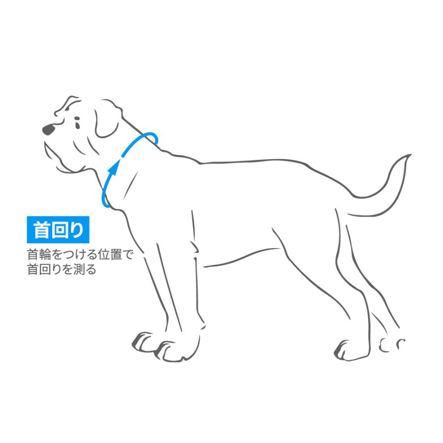 ハンター 犬用 首輪 カーフレザー カンヌ 70 大型犬 本革 ドイツ製_10