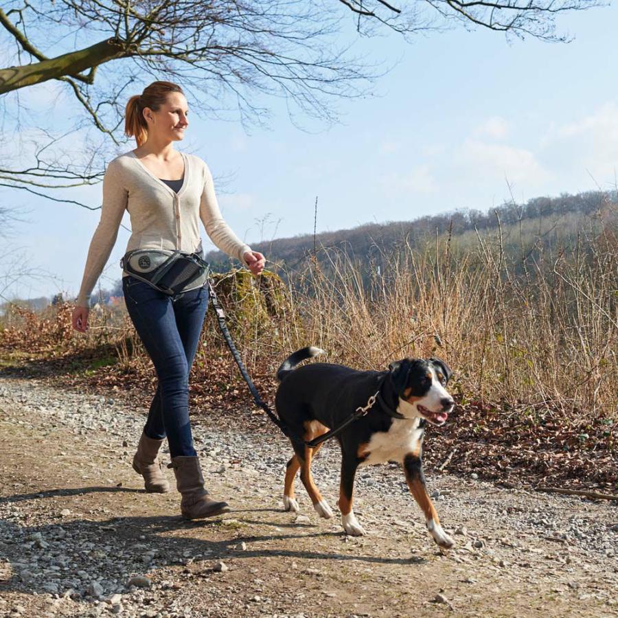 HUNTER（ハンター） 犬用 リード ジョギングリード ジャスパー 中型犬