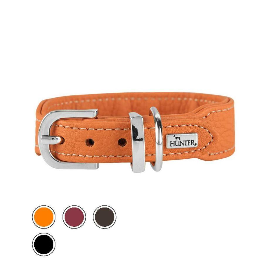日本激安 ハンター 犬用 カラー カーフレザー カンヌ ミニ 37 小型犬 本革 ドイツ製 安い超高品質 Ssl Daikyogo Or Jp