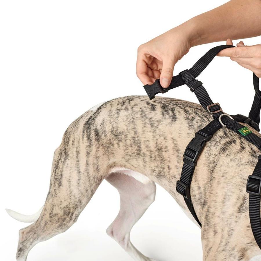 ハンター 犬用 パニックハーネス 脱走防止ハーネス S-M 中型犬 ドイツブランド 抜けにくい 抜けない グレーハウンド ハウンドの画像
