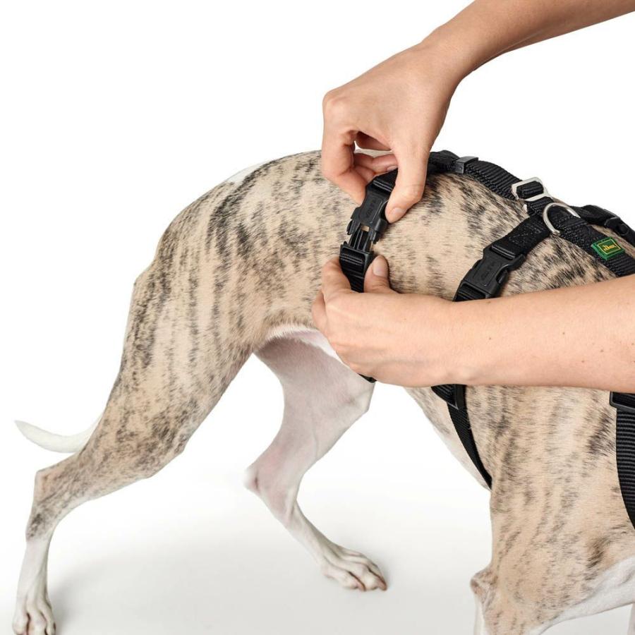 ハンター 犬用 パニックハーネス 脱走防止ハーネス S-M 中型犬 ドイツブランド 抜けにくい 抜けない グレーハウンド ハウンドの画像