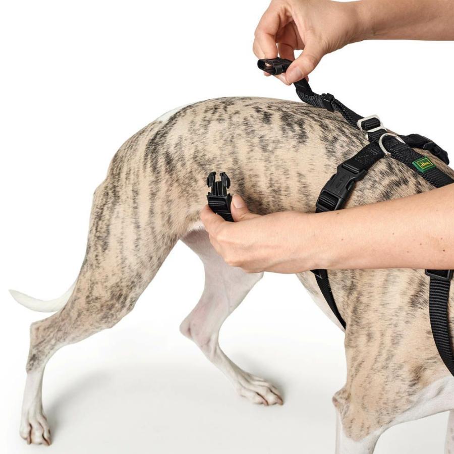 HUNTER（ハンター） 犬用 パニックハーネス 脱走防止ハーネス M-L 中型