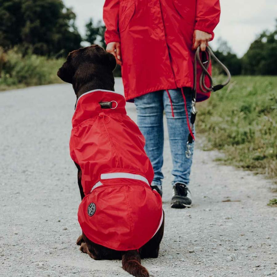 HUNTER（ハンター） 犬用 服 レインコート ウプサラ 60 中型犬 大型犬