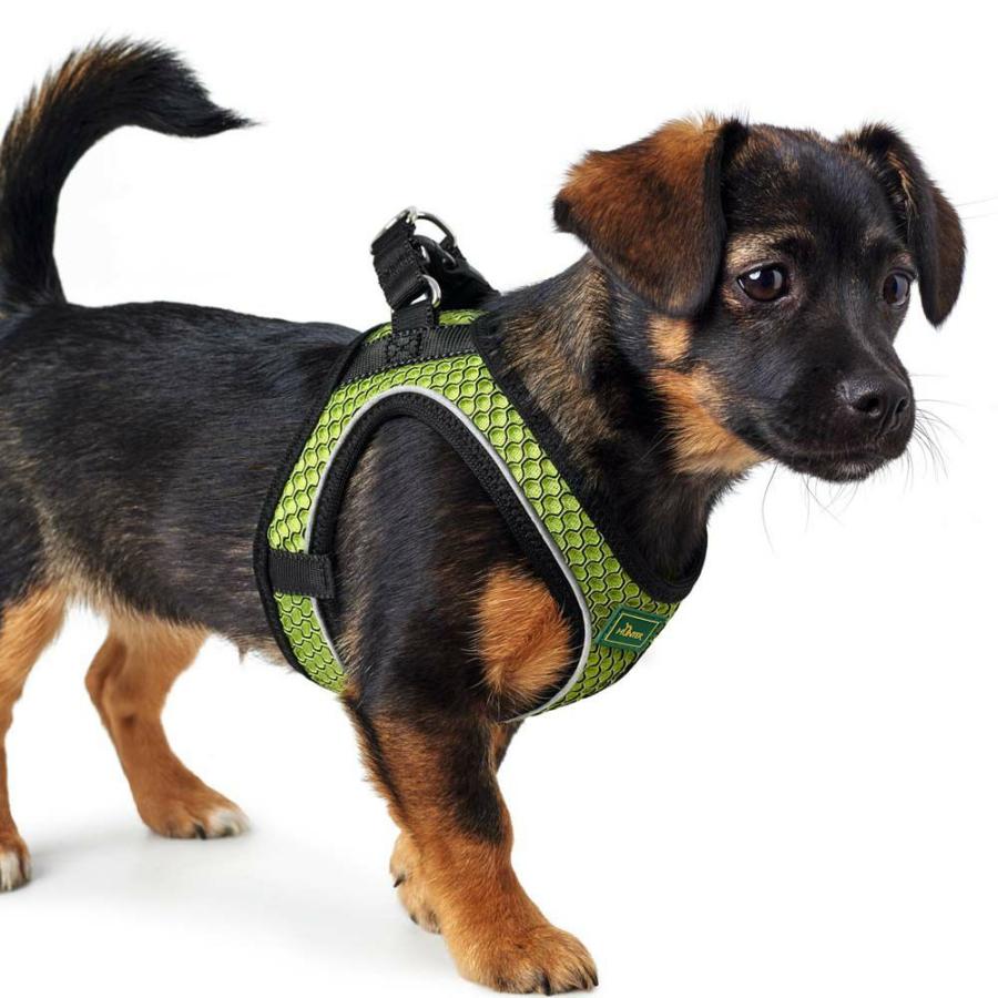 ハンター 犬用 ハーネス ヒロ コンフォート M 中型犬 反射材使用 ドイツブランドの画像