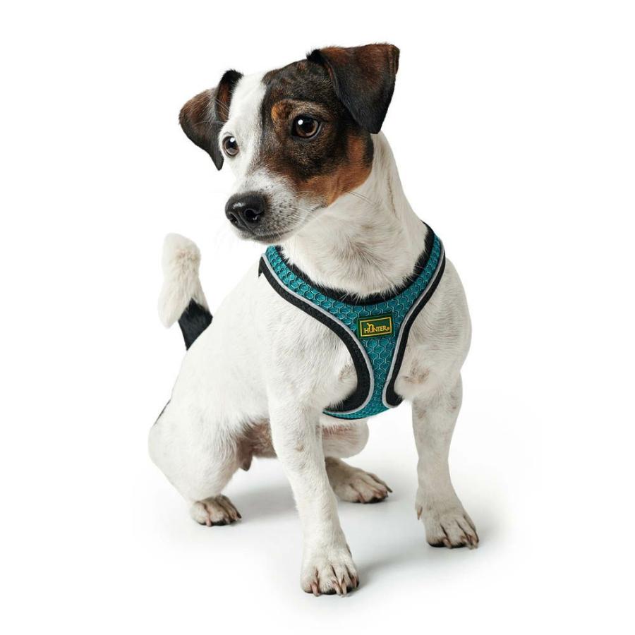 ハンター 犬用 ハーネス ヒロ コンフォート M 中型犬 反射材使用 ドイツブランドの画像