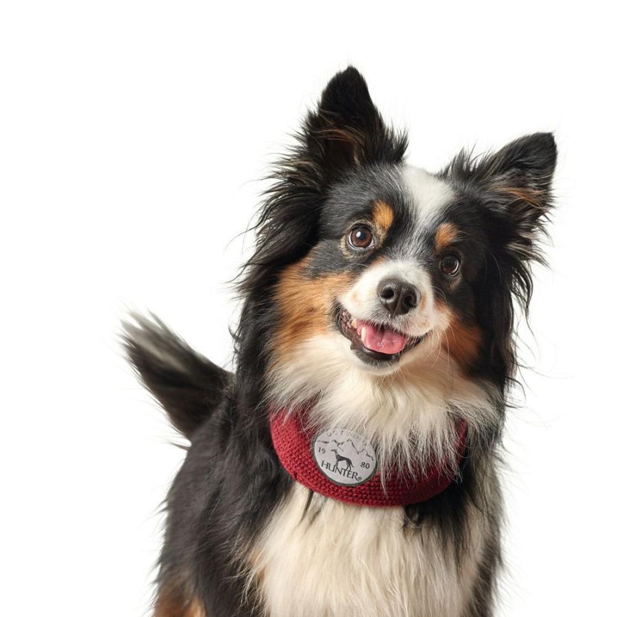HUNTER（ハンター） 犬用 服 マフラー マルメ 超小型犬 小型犬 中型犬