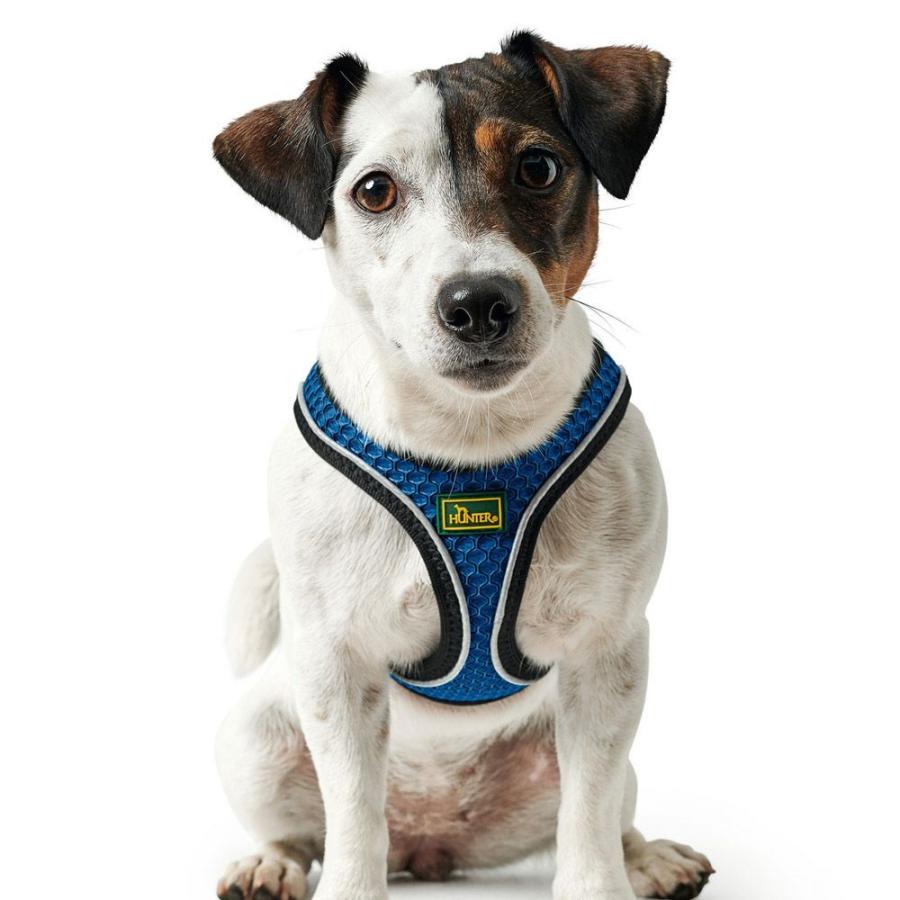HUNTER（ハンター） 犬用 ハーネス ヒロ コンフォート M-L 中型犬 大型